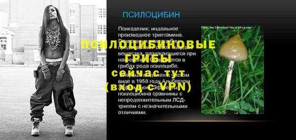 spice Киренск