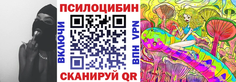 Купить где  Ворсма  Галлюциногенные грибы Magic Shrooms 