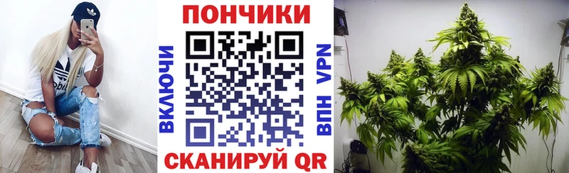 Конопля семена  Купить  Ворсма 